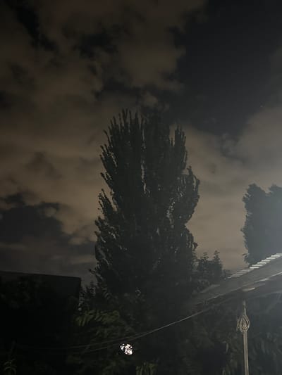 A tall, slender deciduous tree, silhouetted against a cloudy night sky, dominates the center of the frame. The sky is a mottled mix of dark grey and lighter, hazy tones, suggesting overcast conditions or ambient light filtering through. To the right of the main tree, another, shorter tree is partially visible. In the foreground and to the left, dark masses of foliage and what appears to be a low-lying building or structure are obscured by shadow. A section of a corrugated roof extends from the bottom right corner of the image, with a support pole and coiled wire visible beneath it. A bright, blurry light source, possibly a reflection or a distant light, is present in the lower left quadrant of the image. The scene appears to be an outdoor residential or garden area at night in Kojomkul, Kyrgyzstan.