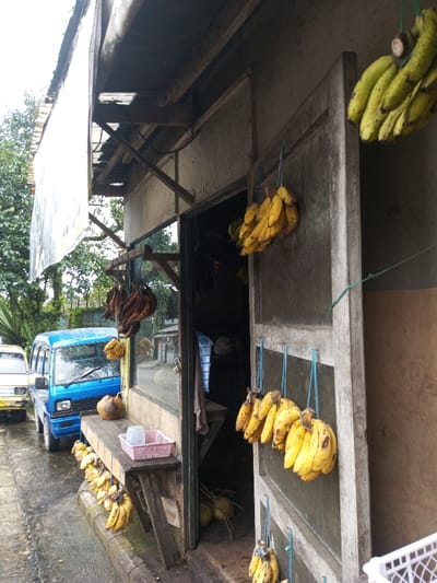 The scene depicts a roadside produce stall in Ambakirano, Madagascar. A single-story building, with a light-colored awning, displays numerous bunches of ripe yellow bananas suspended from ropes on its exterior wall and around the open doorway. Some darker, possibly overripe, bananas also hang near a window to the left of the entrance. A wooden shelf extends from the building, supporting a coconut and a pink plastic basket holding a white cup. Several whole coconuts are visible on the ground inside the shop's doorway. A blue pickup truck is parked on the wet asphalt street, facing left, with a light-colored vehicle partially visible behind it. Green foliage occupies the background on the left side. No individuals are visible within the frame.