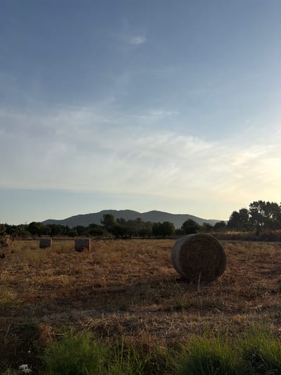 The image depicts a rural landscape under a clear, pale blue sky with wispy clouds. In the foreground, a dry, harvested field is dotted with three large, round hay bales. The closest hay bale is positioned in the right-center of the frame. The field is covered in dry, golden-brown stubble and grass. In the mid-ground, a line of dark green trees and bushes forms a border, behind which rolling hills are visible. The hills are silhouetted against the lighter sky, suggesting the sun is low on the horizon, likely during late afternoon or early morning. The location is identified as Sant Joan de Labritja, Spain, a municipality in the northern part of Ibiza, known for its agricultural and natural scenery. There are no people or animals visible in the scene. The overall impression is one of tranquility and a harvested agricultural setting.