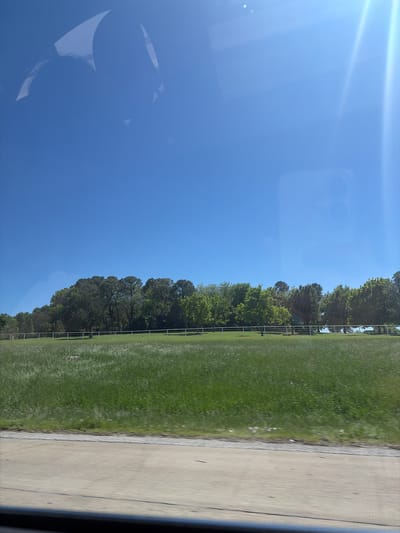 The image presents a landscape as viewed from a moving vehicle. The sky is clear and blue with lens flare, occupying the left side of the frame, with a possible reflection visible on the window. A line of trees separates the sky from a grassy field on the right, which has a fence in front. Next to the field is a concrete road. The location, given the context, is assumed to be somewhere in Westlake, United States of America. There are no people visible in the image.