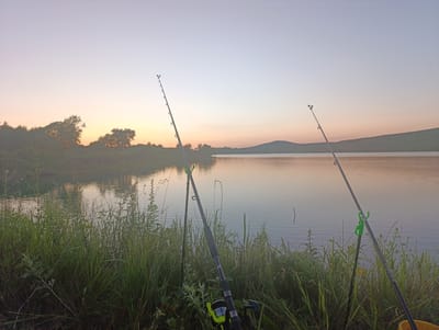 Two fishing rods are set up on the grassy bank of a calm lake, positioned to the right of the frame. The fishing rods are in the foreground, with one rod slightly closer to the camera, equipped with a reel. The rods are angled upwards towards the pale, gradient sky which transitions from a light purple at the top to a soft peach and yellow near the horizon. Silhouetted trees and a low, rounded hill form the distant shoreline of the lake, which reflects the muted colors of the sky. The water appears still, with only slight ripples visible. The environment suggests an early morning or late evening setting. The location is identified as the city of Yaroslavsky, Russia. There are no people visible in the image.