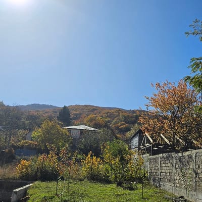 The image displays an outdoor scene in Buriani, Georgia, under a clear blue sky with direct sunlight originating from the upper left. The foreground consists of a patch of green grass interspersed with multiple small saplings. A low concrete structure is visible along the left foreground edge. On the right, a rough-hewn stone masonry wall topped with concrete runs horizontally, partially illuminated by sunlight and casting shadows.
The midground is densely populated with deciduous trees and bushes exhibiting various autumnal colors, including green, yellow, orange, and brown. A single-story residential building, featuring a light-colored roof and walls, is partially visible on the left midground, situated on an incline and largely obscured by foliage. To the right of this and behind the stone wall, a partial structure with exposed wooden roof trusses and light-colored walls is present, indicating either construction or disrepair.
The background is dominated by a forested mountain range, densely covered with deciduous trees displaying widespread autumnal coloration, predominantly yellows, oranges, and browns, under the expansive clear sky. No human figures, animals, or discernible activities are observed within the frame.