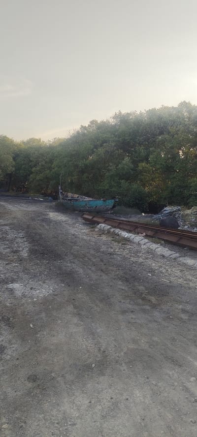 The image depicts an outdoor scene in Tambak Cemandi, Indonesia, under a pale, overcast sky. The foreground is dominated by an unpaved, dark gray dirt and gravel path or road, exhibiting faint tire marks. To the right of the path, two long, rusted metal I-beams or structural components rest horizontally on a series of small, light-colored concrete blocks or stones, forming a crude set of tracks that recede into the distance. Adjacent to the left edge of these tracks, a heavily weathered and damaged wooden boat, painted a faded turquoise blue, is beached. Its hull shows significant deterioration, with missing planks and exposed internal framing. Behind the boat and the tracks, a dense, continuous line of lush green trees, consistent with mangrove vegetation, forms a thick natural barrier across the middle and background of the scene. No individuals or active interactions are visible. The environment appears to be an undeveloped or industrial coastal/waterfront area.