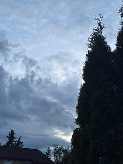 The image presents an upward view towards a cloudy sky. The lower portion of the frame is dominated by dark, dense evergreen trees, likely a hedge or a grove. Bare branches extend from the right side of the frame. In the upper left corner, part of a building is visible, featuring a pitched roof and a window. The sky exhibits a mix of cloud types, with some areas showing thin, elongated clouds and others appearing more densely overcast. This scene is located in the city of Dobieżyn, Poland.