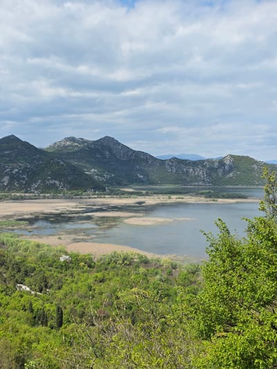 The image depicts a panoramic view of the landscape in Godinje, Montenegro. In the foreground, dense green vegetation extends along the right side of the frame, with lush trees and shrubs. A body of water, likely a lake or river, stretches horizontally across the middle of the image, reflecting the sky and surrounding mountains. The water's edge is marked by reeds and marshy areas.
In the background, a rugged mountain range rises, with rocky peaks and slopes covered in sparse greenery. The sky above is partly cloudy with blue patches. The overall scene conveys a sense of natural beauty and serenity in a rural setting.