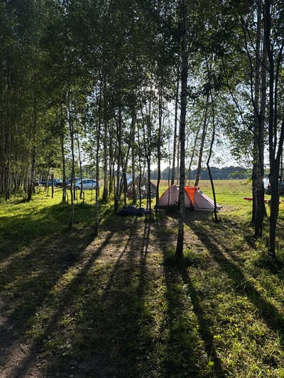 The image depicts a campsite in a forest clearing, likely located near Kuzemkino, Russia, given the prominent birch trees. The scene is characterized by dappled sunlight filtering through the leaves, casting long shadows across the grassy ground. In the foreground, a dirt path leads into the wooded area. Further into the clearing, two tents are visible. One tent is a light orange and grey dome tent, pitched on the grass. Another, less distinct tent is situated to the left. Several cars are parked amongst the trees in the background, including a silver sedan and a blue vehicle. A person is lying down on the ground near the orange and grey tent, seemingly resting. The environment suggests an outdoor recreational setting, possibly a campground or a makeshift campsite within a natural area.