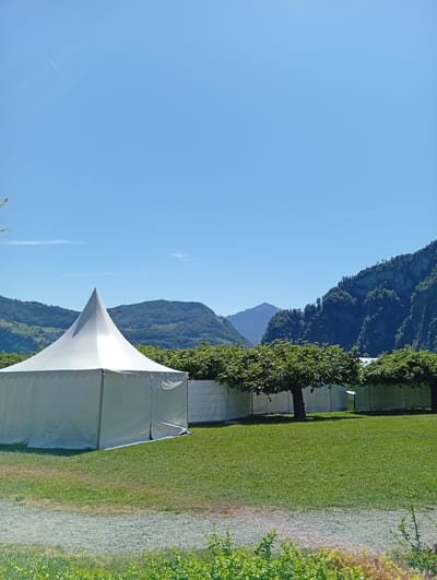 A large white tent with a pointed roof is set up on a green lawn, with a gravel path in the foreground. Behind the tent, several smaller white structures are visible, as well as rows of trees. In the background, rolling green hills and mountains rise up against a clear blue sky, with a faint contrail from an airplane visible. The scene appears to be an outdoor event or festival space in a scenic, mountainous location. The weather is sunny and bright, indicating a pleasant day. The location is Hergiswil (NW), Switzerland.