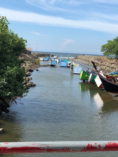 This image depicts a scenic view of several colorful fishing boats docked along a rocky shoreline. The boats, of varying sizes and painted in bright blues, greens, and reds, are lined up in the calm water of a channel or bay. Some of the boats have square, white panels attached to them, possibly for shade or advertising.
The setting appears to be a coastal area, with a rocky beach or embankment on the left side of the frame. Lush green trees and bushes grow along the shore and on the embankment, adding a vibrant contrast to the water and boats. In the background, the vast expanse of the sky is a clear blue with wispy white clouds, suggesting fair weather. The water itself is tranquil, with gentle ripples reflecting the sunlight and the colors of the boats and sky.
The scene suggests a typical day in a fishing village, likely in the morning or afternoon given the bright sunlight and clear skies. The boats are at rest, indicating that the fishing activities may have concluded for the day or are yet to begin. There are no people prominently visible in the frame, but their presence is implied by the docked boats.
A detail on the right side of the image shows a railing that is painted white with red streaks, suggesting it might be part of a bridge, pier, or viewing platform. The overall atmosphere is peaceful and serene, capturing a moment of quietude in a lively coastal community. The location context of Bangkajaya, Indonesia, further reinforces the image of a tropical fishing village. No discernible text is visible in the image.