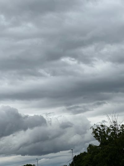 The image displays an overcast sky, heavily dominated by various shades of grey clouds, suggesting a cloudy or potentially rainy day in Herxheim, Germany. The sky fills most of the frame, with the clouds exhibiting a mix of diffuse, lighter areas and denser, darker formations. Some cloud layers appear stretched horizontally, creating a sense of depth and movement across the sky.

On the right side of the frame, a strip of dark green foliage from trees is visible, providing a stark contrast against the grey clouds. Above this foliage, a section of bare tree branches with thin twigs extends into the upper right corner. Further down and to the right, a tall, slender light pole with a visible fixture and support arm stands against the lighter sky background. No human activity or visible text is present in the image. The time of day is clearly daylight, but the heavy cloud cover subdues the brightness.