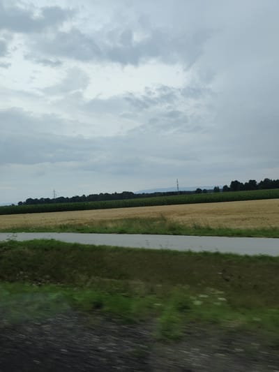 The image depicts a rural landscape under an overcast sky. In the foreground, a blurred area suggests motion, possibly from a vehicle, showing dark gravel and green vegetation. A paved road runs through the middle ground, bordered by green grass. Beyond the road, a field of golden grain, likely wheat or barley, stretches across the frame. Further in the distance, a dark green field, possibly corn, is visible, followed by a line of dark trees. A tall, slender electrical pylon stands out against the treeline, and faint mountain ranges can be seen on the horizon. The sky is filled with heavy, grey clouds. The image does not contain any people or specific urban features that would allow for identification of the city of Poręba, Poland.
