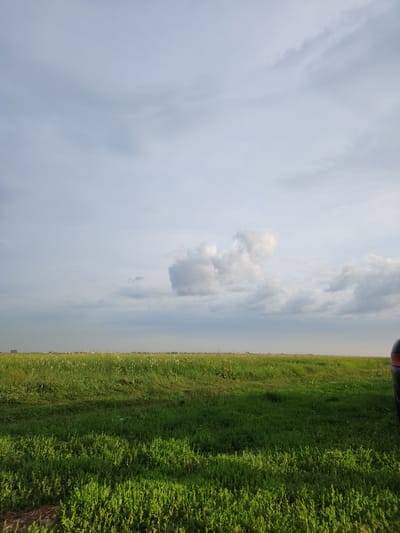The image depicts a vast expanse of green grass under a cloudy sky. The grass, lush and vibrant, stretches horizontally across the right side of the frame, appearing somewhat unkempt in places. The sky dominates the left side, filled with a mix of light and dark gray clouds, with a few patches of brighter sky peeking through. A single, fluffy white cloud stands out in the middle ground of the sky. The horizon line, where the grass meets the sky, is slightly hazy. In the upper right corner of the image, a dark, curved object with a hint of red is visible, suggesting the presence of a vehicle or equipment. The lighting suggests it is daytime, possibly late afternoon, as the light is somewhat diffused, and shadows are not sharply defined. The overall mood is tranquil and natural, evoking a sense of open space and the outdoors. There is no visible text in the image.