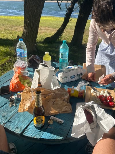 The image depicts a picnic scene set on a vibrant blue wooden picnic table, situated outdoors in Florentin, Bulgaria, near a body of water and grassy area with trees. A woman, partially visible from the back, is wearing a light pink cardigan over a blue and white checkered apron. Her hands are engaged in handling a white paper napkin. On the table are various items: two bottles of water, one with a blue cap and a label in Cyrillic script, and another with a yellow cap. There's a roll of paper towels, a pack of cleaning wipes, a small container of fruit, a bag of green grapes, two bottles of Leffe Blonde beer (one open, one sealed), a package of small red appetizers with white cheese balls, a small container of what appears to be a dip or spread, a brown paper bag, and some crumpled brown paper. Also present are a wallet or phone, a set of keys, a pack of cigarettes and a lighter, and a metallic object. The overall atmosphere suggests a casual outdoor meal in a scenic location.