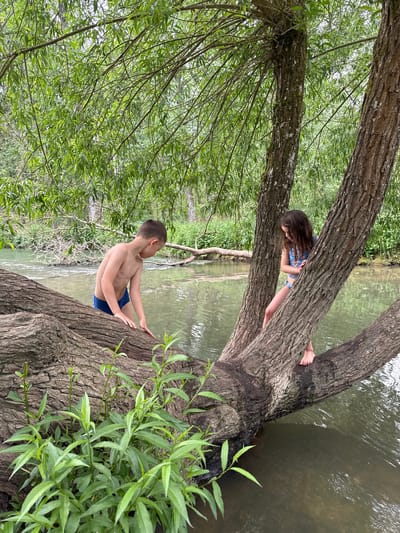 The image shows two children on a large tree trunk that extends over a body of water. A boy is closer to the foreground, wearing blue swim trunks, and is partially obscured by tree branches and foliage. A girl, wearing a patterned blue and white outfit, is further out on the trunk and closer to the water's edge. The tree appears to be a mature specimen, with thick, gnarled bark. The water is murky and green, suggesting a natural, unmanaged environment. The scene appears to be situated in a wooded area, with lush green foliage. While the exact location in West Oxfordshire is unknown, the scene resembles a natural area with a river or stream, suitable for recreational activities like climbing trees and wading in water.
