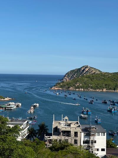 This is a high-angle, wide shot of a coastal scene in Vinh Hai, Vietnam, on a clear, sunny day. The ocean dominates the upper two-thirds of the image, a deep blue expanse with numerous boats of varying sizes. In the distance, a large, green, tree-covered mountain juts out of the water, forming a prominent landmark. Several smaller islands or rocky outcrops are scattered throughout the bay.
In the foreground, a cluster of buildings lines the coast. To the left, there is a white building with multiple windows and balconies. To the right of this, a partially constructed concrete building stands, showing exposed rebar and unfinished walls. Further right, another white building with a dark roof and windows is visible, appearing more complete. These structures are nestled amongst lush green trees and foliage.
The water is calm, with gentle ripples and the wake of a white boat moving across the frame. A concentration of fishing boats, mostly blue and some with red accents, are anchored or moored in the bay, particularly in the middle and right sections of the image. Some of these appear to be larger vessels, while others are smaller, likely fishing skiffs. The sky is a clear, bright blue, with no visible clouds. The overall impression is one of a bustling coastal community with active maritime activity.