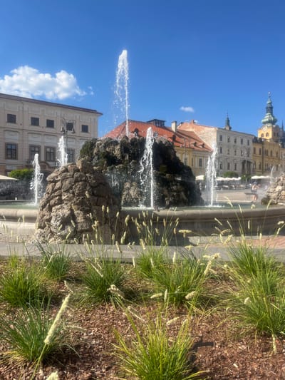 This media file depicts a sunlit outdoor scene featuring a rock fountain with water spraying in arcs against a backdrop of historic European architecture and a clear blue sky dotted with a few white clouds. Tall, green ornamental grasses with seed heads flank the right side of the frame, bordering a path with exposed brown mulch.
The fountain is the central object, constructed from rough, dark rocks that create a naturalistic cascade effect as water streams and splashes around them. Several jets of water are visible, some forming delicate spray patterns, others more robust streams. In the background, classic buildings with red-tiled roofs and light-colored facades rise up. Architectural details like multiple windows and ornate cornices are discernible. One building features a distinctive dome-shaped turret topped with a spire, suggesting a historical or religious structure.
The time of day appears to be midday, given the bright sunlight casting sharp shadows and illuminating the scene with a warm glow. The weather is fair and sunny. The presence of the fountain and the open-air setting implies a public space, possibly a town square or a park area in Banská Bystrica, Slovakia, as suggested by the location context.
There are no visible people clearly identifiable as subjects of the photo, though blurry figures might be present in the distance or within the background structures. The overall mood is serene and pleasant, capturing a typical sunny day in a European city. No text is visible in the media file.
