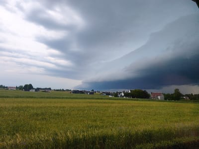 This image, captured in Kyviškės, Lithuania, depicts a rural landscape under a dramatic sky. A vast field of green crops, likely wheat or barley, dominates the foreground. In the mid-ground, a scattering of residential buildings and trees are visible. The background is characterized by a colossal, dark storm cloud formation that looms menacingly, with lighter clouds in the distance. The lighting suggests a diffused daylight, possibly before or during a storm. No people or animals are visible in the frame. The scene is static, showcasing the natural environment and the impending weather event.