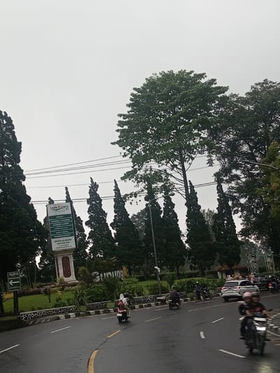The image presents an outdoor scene featuring a damp asphalt road curving to the right, lined by lush greenery and various vehicles under an overcast sky. The sky is a uniform, light gray, suggesting either a heavily cloudy day, early morning, or late afternoon.
In the mid-ground, a prominent, tall white sign on a stone-colored pillar stands by the roadside. The sign advertises "Agro Wisata" (Agro Tourism) at the top, accompanied by a small green logo. Below this, a list of services and facilities is presented: "RESORT," "CAMPING & GLAMPING," "BANQUET & EVENT," "FUNCTION HALL," "CAFE & RESTO," and "OUTDOOR ACTIVITY." Contact information includes "OFFICE 24 HOURS," a phone number "081230310316," and a partially visible social media handle starting with "@agrowisatab." To the far left, a smaller green directional sign points left with an arrow and partially visible text "GENER...". Behind the main sign, large letters spelling "GAMBUNG" are visible on a landscaped, grassy embankment.
The roadside is densely vegetated with tall, slender, conical evergreen trees, possibly cypress, arranged in a row behind the main sign and extending to the left. Above these, and more prominently in the upper center and right, are large deciduous trees with full, bright green canopies. Overhead, several power lines stretch horizontally across the frame.
The road itself appears wet, indicating recent rain or damp conditions. Road markings include a solid yellow line dividing lanes and white dashed and solid lines. Traffic consists mainly of motorcycles. In the foreground, center-right, two people on a motorcycle are approaching; the passenger, wearing a black helmet, is smiling. Further back, on the left side of the road, a person wearing a white hijab is riding another motorcycle. Other motorcycles and a silver SUV are visible further down the road on the right. In the far background, a small group of people can be seen near a building or shelter. The overall impression is of a busy road section in a green, possibly hilly or mountainous, area.