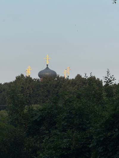 A dark, domed structure topped with a golden Orthodox cross is visible above a dense line of lush green trees. To the left of this dome, three more golden Orthodox crosses are visible, also rising above the foliage. The sky above is a pale, hazy blue with a few faint bird silhouettes and some small white specks. The foreground is dominated by the dark green leaves of trees and bushes. The image appears to be taken from a slightly lower vantage point, looking up at the crosses and dome. The setting appears to be a natural landscape, possibly on the outskirts of a settlement given the presence of the religious structures amongst the greenery. The scene evokes a sense of tranquility and possibly a spiritual or historical significance associated with the church and its location in Пропан Снт, Russia.
