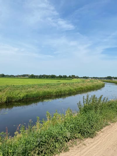 This is an outdoor, eye-level, medium shot of a canal winding through a rural landscape in Meppel, Netherlands, under a partly cloudy sky. The canal occupies the lower left to middle right of the frame, its dark, reflective water mirroring the sky and surrounding vegetation. Along the canal's right bank is a sandy path. The left bank is lined with lush, green reeds and various other wild grasses and plants. Beyond the canal, to the left, are expansive, flat green fields, likely agricultural. In the middle ground, a line of trees forms a distant horizon, punctuated by some buildings and a church spire. Further to the right in the middle ground, parked cars are visible along what appears to be a road or parking area. The overall scene depicts a serene, agricultural setting typical of the Dutch countryside.