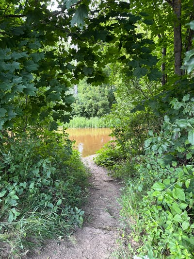 The image depicts a tranquil natural scene in Upeslejas, Latvia. The foreground is dominated by lush green foliage, with large maple leaves prominently featured on the left side, partially obscuring a tree trunk. A dirt path curves into the distance on the right, flanked by dense undergrowth and tall grasses.
The path leads towards a narrow body of water, likely a river or stream, which appears calm with a brownish hue. The water is bordered by reeds or tall grasses on the opposite bank, creating a natural barrier. Beyond the water, more trees and vegetation can be seen, suggesting a wooded or forested area.
The lighting indicates it is daytime, with soft light filtering through the leaves, creating dappled shadows. The overall atmosphere is serene and peaceful, evoking a sense of natural beauty and quietude. There are no people or man-made objects visible, emphasizing the untouched, wild character of the location. The image captures a moment of natural stillness, with the gentle flow of water and the rustling of leaves implied rather than explicitly shown. The weather appears to be fair, suitable for outdoor exploration. No visible text is present in the image.