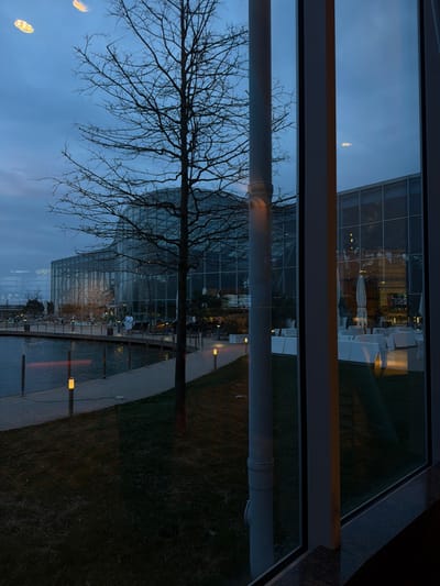 The image presents an outdoor leisure facility at dusk, viewed from indoors through a large window, located at Therme București in Săftica, Romania. The sky is a dark blue, with two elliptical light reflections from an interior source visible in the upper left. A leafless deciduous tree, silhouetted against the sky and a background building, stands centrally.

To the left, a dark body of water, likely a pool or artificial lake, curves alongside a wooden or paved pathway. Several amber-lit bollard lights illuminate the path and the dark green grass bordering it. Numerous sun loungers are visible around the water's edge, with at least one person in a white bathrobe walking near them.

The background features a large, modern architectural complex, primarily constructed of glass and steel, with internal lighting illuminating its various sections. To the right, an outdoor seating area consists of white, minimalist lounge furniture arranged on a grassy surface. A vertical grey structural column from the interior perspective partially obstructs the view on the right side of the frame, and the windowpane exhibits reflections of indoor elements.