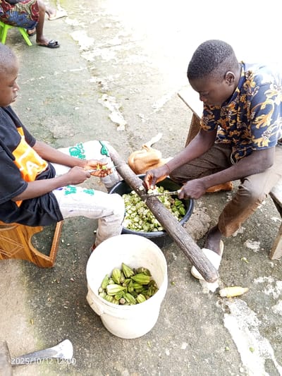 This image depicts an outdoor scene in Kamantan, Nigeria, where two males are engaged in the preparation of okra. A young male, positioned on the left, wears a black t-shirt with orange graphics and light-colored pants, and sits on a wooden stool while using a small knife to trim green okra pods. To his right, an adult male, wearing a patterned short-sleeved shirt and dark pants, sits on a wooden bench, using a knife to chop okra pods into a large black basin which already contains a substantial quantity of cut okra. A long, dark wooden pestle-like object rests across this basin.
In the foreground, a white plastic bucket contains numerous whole, green okra pods. Small pieces and trimmings of okra are scattered on the concrete ground surface. In the upper left background, the lower legs and feet of a third individual, wearing patterned clothing and green plastic sandals, are partially visible, seated on a green plastic stool. A tan fabric bag or sack lies on the ground behind the black basin. The environment is an open, paved area with bright, natural lighting.