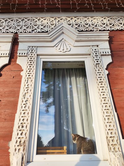 The image shows a close-up of a window on a red wooden building with intricate white wooden trim. The window has white curtains and a cat is sitting on the windowsill, looking out. The reflection in the window shows trees and the sky. Above the window, there are strings of lights. This architectural detail is typical of traditional Russian houses, often found in historical areas of cities like Vasil'ki. The light suggests it is either early morning or late afternoon.