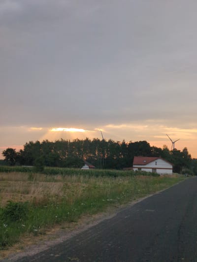 This is a vertical, full-shot, eye-level photograph of a rural landscape at dusk near Wincentów, Poland. The scene is dominated by a cloudy sky with a band of bright sunlight breaking through, casting visible rays downwards through a gap in the clouds. In the middle ground, a dense line of green trees forms a backdrop. In front of the trees, a white house with a red roof is visible, situated to the right of center. Two wind turbines are also present; one is a silhouette on the far left, and the other, a more complete view of its blades, is visible above the treeline on the right. The foreground features a paved road on the right side of the frame, and to its left, a field with dry grass and scattered green vegetation, including some small white flowers. Another field with taller, greener crops like corn is visible behind the dry grass field, directly in front of the treeline and the house. The overall impression is one of a serene, rural setting as daylight fades.