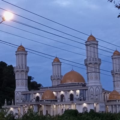 The image depicts a mosque in Pantonmakmur, Indonesia, captured at dusk. The mosque features white walls and multiple golden domes and minarets. In the foreground, lush green foliage partially obscures the lower levels of the building. Overhead, power lines crisscross the frame, and a street light illuminates the upper left corner. The sky is a deep blue, indicative of twilight. No people are visible in the image.