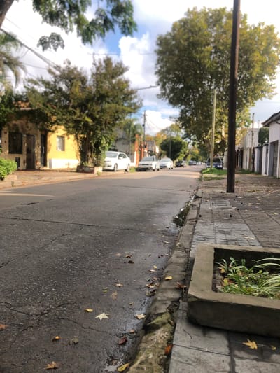 The image captures a tranquil residential street in Beccar, Argentina, under daylight conditions, likely following a rain shower. The perspective is from the side of the road, looking down the street.
The asphalt road surface is visibly wet in sections, with small puddles and scattered brown and yellow fallen leaves. To the right, a concrete sidewalk runs parallel to the street, also damp and adorned with numerous fallen leaves, some exhibiting a distinct star shape. A concrete planter box, holding various green plants including grass-like foliage, is integrated into the sidewalk structure.
A prominent dark brown wooden utility pole extends horizontally across the upper-left foreground, partially obscuring the view of the trees. Faint utility wires are visible against the sky. Lush green trees with dense foliage line both sides of the street, some displaying yellowish-green leaves.
Several cars are parked along the left side of the street, including a white vehicle closer to the foreground and other darker vehicles further away. Residential buildings are visible behind the trees; notably, a yellow house with a white window and a darker lower section is seen on the left. Other houses with light-colored facades appear in the distance on the right.
The sky above features a mix of white clouds and patches of blue, indicating a clear, bright day after recent precipitation. The scene suggests a quiet, peaceful suburban environment. No human activity or visible text is present in the image.