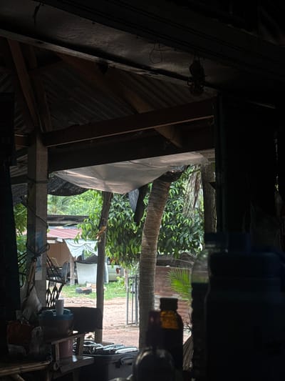 The image depicts an interior view looking outwards towards a rural scene, likely a backyard or open area, in Pa Chan, Thailand. The foreground is dominated by dark, shadowy figures of various bottles, including a large dark blue one and a smaller amber-colored bottle with a dark cap, positioned on what appears to be a surface within the indoor space. To the left, a woven bamboo surface and a collection of items, including a red and blue bowl with a white cup on top, and plastic bags, are visible.

The mid-ground reveals a view through an opening, showcasing lush green foliage, palm trees, and a weathered, corrugated metal roof of a building. A rustic concrete pillar, tied with rope, stands to the left of the opening. Beyond this, a dirt path leads to more structures, including one with a red-tiled roof and white tarpaulin, and a metal gate. A light-colored vehicle is partially visible in the background. The overall impression is one of a simple, possibly semi-constructed or utilitarian dwelling in a tropical environment. The lighting suggests it is daytime, with the interior being dimly lit and the exterior brighter.
