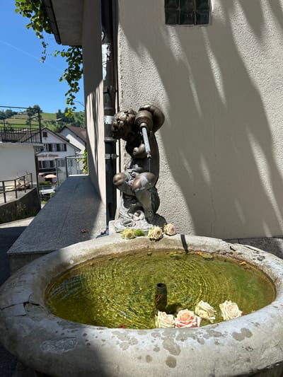 In the city of Wald (ZH), Switzerland, a weathered stone fountain, filled with murky green water, sits near a textured building. A bronze sculpture of cherubic figures is perched on the edge of the fountain, with one figure appearing to pour water from a pitcher. Several roses, some in bloom and some wilted, are floating on the water's surface and placed on the rim of the fountain. The scene is bathed in bright sunlight, casting dappled shadows from nearby foliage onto the building's wall. In the background, houses and green hills are visible under a clear blue sky.