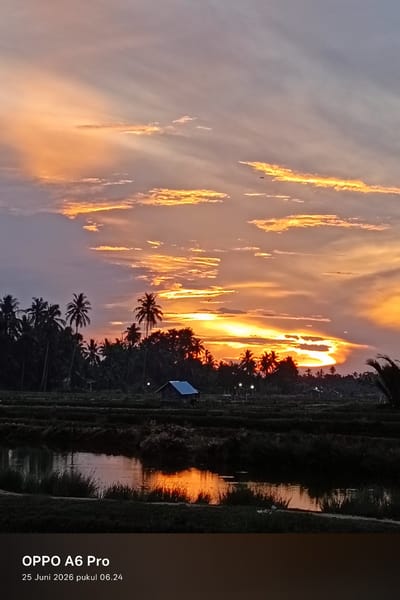 This is a landscape photograph taken at sunset in Rheum Barat, Indonesia. The sky is filled with dramatic orange and yellow clouds, illuminated by the setting sun. A line of silhouetted palm trees and other foliage stretches across the middle ground, with a small, dark-colored building with a blue roof visible among them. In the foreground, a body of water reflects the vibrant colors of the sunset. The overall impression is one of a serene and picturesque rural scene. The bottom of the image contains text indicating the device used ("OPPO A6 Pro") and the date and time ("25 Juni 2026 pukul 06.24").