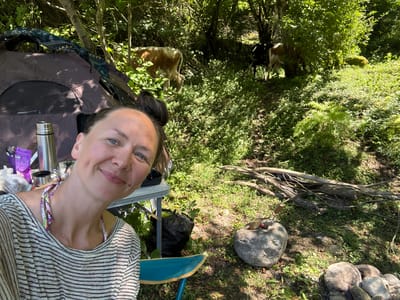 A woman is taking a selfie in a wooded area near a tent. She has her hair pulled up in a bun and is wearing a striped shirt and a colorful bikini top. There is a small table next to her with a thermos and some bags. In the background, there are cows grazing in the trees. The scene appears to be a campsite. The location is stated as Abgara, Abkhazia.