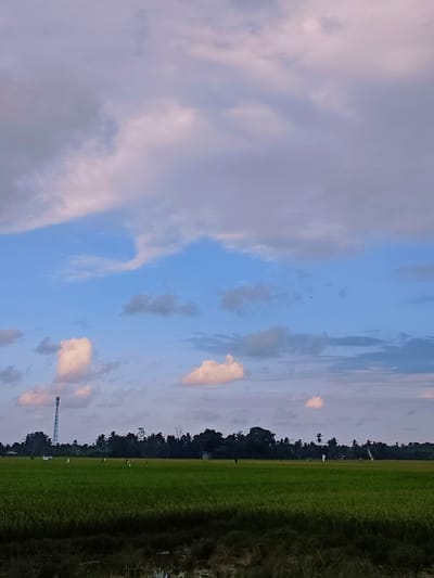 The image depicts a rural landscape under a sky filled with dramatic clouds. A vast expanse of green rice paddies occupies the foreground, with a dark, blurred strip of vegetation in the immediate front. In the mid-ground, a line of dark trees forms a dense backdrop. A tall telecommunications tower stands to the left of the tree line, and several scattered figures, possibly scarecrows or farm workers, are visible in the field. The sky is a mix of blue and pale pink and grey clouds, with a small dark bird flying in the upper right quadrant. The scene is likely set in the city of Tijien Daboh, Indonesia, given the prevalence of rice paddies and tropical vegetation.