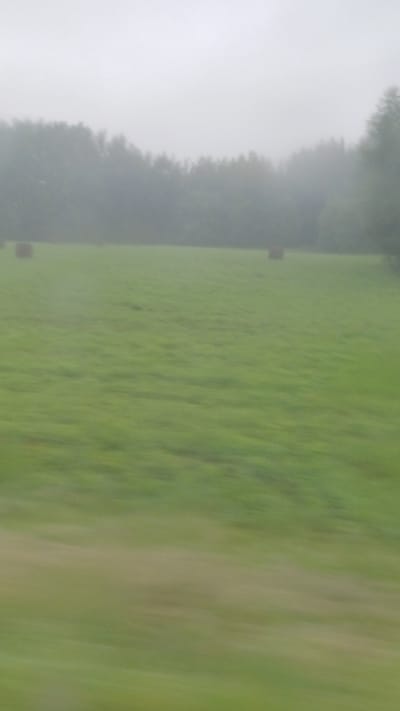 A low-resolution, blurred photograph captures a hazy, overcast day in a rural setting, likely the outskirts of Киясово, Russia. The image features a wide, green field stretching across the foreground and mid-ground. The field has a slightly uneven texture, with darker patches suggesting variations in grass height or moisture.
In the distance, a line of trees forms a dark, indistinct backdrop, partially obscured by the fog or mist. Two dark, cylindrical objects, presumably hay bales, are visible in the field. One is positioned on the left side of the frame, closer to the tree line, and the other is further to the right. The sky above is a uniform, pale gray, with no discernible features. The overall impression is one of a quiet, damp, and diffused landscape. The motion blur suggests the photograph was taken from a moving vehicle.