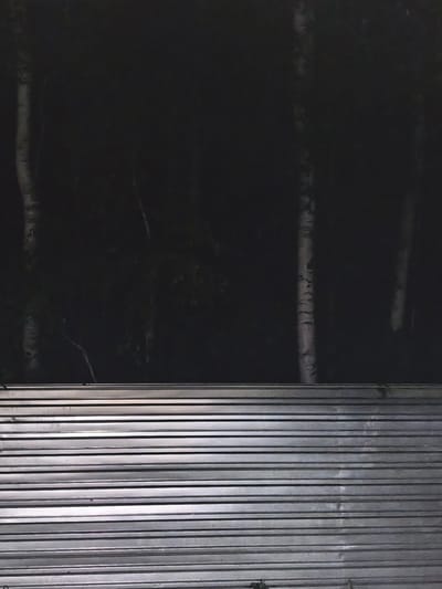 The image depicts a dark, nighttime scene in Белоярская Застава, Russia. In the background, several tall, slender trees with pale bark are visible against a very dark, indistinct forest. The foreground is dominated by a corrugated metal fence, which runs horizontally across the lower half of the image. The metal appears to be silver or galvanized, and it reflects light, creating horizontal highlights. Some sparse vegetation is visible at the bottom edge of the fence, suggesting it is outdoors. The overall impression is one of a somewhat stark, utilitarian barrier in front of a natural, darkened landscape. There are no people or discernable animals in the image.