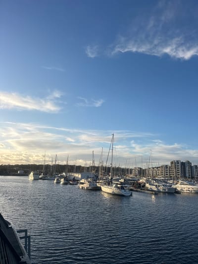 An outdoor scene depicts a marina in Gillingham, United Kingdom, under a bright blue sky with scattered white clouds. The sun, positioned low on the horizon to the left, casts a warm light on distant clouds and the treeline. The foreground features the dark, rippled surface of the water, with a partial view of a dark metal railing in the lower-left corner. Numerous vessels, including white-hulled sailboats with visible masts and rigging, and several motor yachts, are moored at dark pontoons extending into the water. In the background, to the right, a cluster of modern, multi-story residential buildings with flat roofs and multiple windows lines the waterfront. A dense treeline is visible on the distant left horizon. No individuals are present, nor are any actions or interactions depicted.