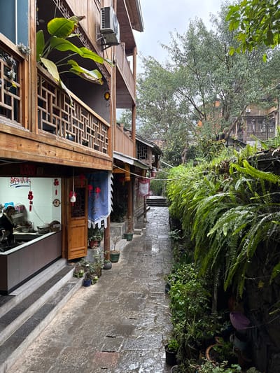 This image depicts a narrow, wet, stone-paved alleyway in Gongtan, China, bordered by traditional wooden buildings and dense vegetation under an overcast sky.

On the left, a multi-story wooden building features ornate carved railings on its upper balconies. A large green-leafed plant is visible on the first-floor balcony, and an external air conditioning unit is mounted on the second floor. The ground floor houses an open-fronted establishment, likely a restaurant kitchen, with a lone individual, a female, observed cooking over a wok. Red "新年快乐" (Happy New Year) and "福" (Blessing) banners hang inside. A wooden door is partially open next to the kitchen, flanked by numerous potted plants on the wet pavement. A blue and white banner hangs outside the door.

The right side of the alley is defined by a stone retaining wall densely covered with various green ferns and other plants. Additional potted plants are arranged along the base of this wall. A large leafy tree is visible behind and above the wall. The stone-paved alleyway is dark and appears wet, reflecting the dull light, and gently slopes upwards into the distance, culminating in a set of stone steps.