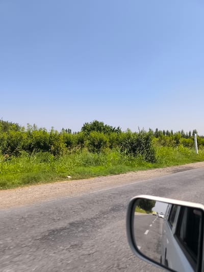 The image is a view from a vehicle traveling on a rural road. The road surface is asphalt with some texture and discoloration. To the left of the road, there is a dirt shoulder leading to a dense line of green foliage, including tall grasses and various bushes and trees. In the distance, a clear blue sky stretches across the horizon. A white rectangular marker is visible on the right side of the road, further down the embankment. A side-view mirror of the vehicle reflects another vehicle and a line of trees on the road ahead. The location is identified as Hudayarhan, Uzbekistan.