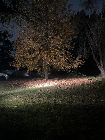 The image depicts a dark, outdoor scene at night. A tree with golden leaves is on the left, and grass covered in fallen leaves is on the right. Light shines across the grass and illuminates the trunk of the tree. Two vehicles are partially visible underneath the tree; the front of one vehicle and the side of another are lit by the light source. The location is possibly Ezeiza, Argentina. There are no people visible.