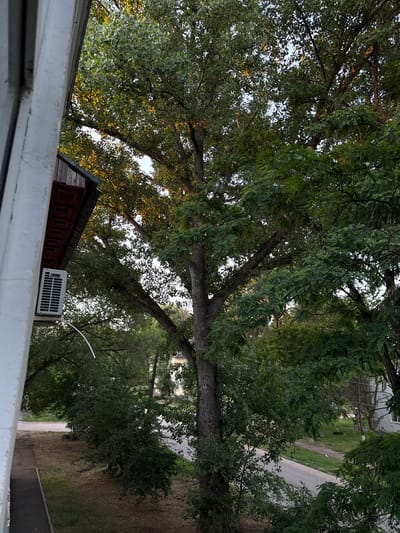 An eye-level, medium shot captures a view from a building onto a residential street in Vishnevetskiy, Russia, at dusk. A white windowsill, partially visible on the left, frames the scene. An air conditioning unit is mounted on the exterior wall of the building. The street is lined with trees, predominantly deciduous, with dense foliage. The lighting suggests late afternoon or early evening, with sunlight filtering through the leaves, creating a dappled effect. There are no people or animals visible in the image. The overall impression is one of a quiet, ordinary urban setting.