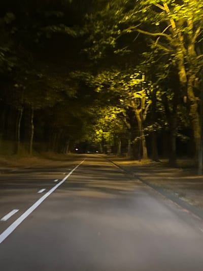 The image shows a road lined with trees at night. The trees are illuminated by streetlights, casting a yellow glow on the leaves and branches. The road has white lines painted on it, indicating lanes. The scene appears to be a quiet, tree-lined street in a city or town. The location is identified as Maromme, France.