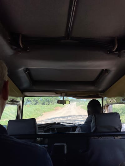 The image shows the interior of a vehicle from a passenger's perspective, looking towards the front. A person is driving, with the back of their head and shoulders visible in the driver's seat on the right. They are wearing a dark shirt or vest.

Through the large windshield, a bright, sunlit dirt road stretches ahead, flanked by green vegetation and trees under a clear sky. A rearview mirror is visible, reflecting a distorted view of the road behind.

The vehicle's interior appears utilitarian, possibly a safari vehicle or a sturdy 4x4, with dark-colored seats, a visible dashboard, and a high ceiling. On the left side of the cabin, behind the driver's seat, a small, dark object resembling a stuffed animal or toy with prominent white eyes is partially visible. The passenger's leg or arm, possibly wearing dark clothing, is partially visible in the bottom right corner, and a lighter-colored object or fabric is seen in the bottom left.

The scene depicts a daytime journey on what appears to be a rural or unpaved road. Based on the provided context, the location is Kwa Kuchinia, Tanzania. No visible text is present in the image.
