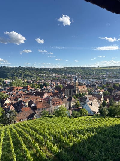This is an aerial, high-angle, eye-level shot of the city of Esslingen am Neckar, Germany, featuring a vineyard in the foreground and the historic city center in the midground. The vineyard occupies the bottom half of the image with rows of green grapevines stretching across the frame, bathed in sunlight. Beyond the vineyard, the city unfolds with a dense collection of buildings featuring red-tiled roofs. A prominent church with a tall, pointed spire stands out in the center of the city. The background shows a lush green, tree-covered hillside dotted with more buildings, and a distant hazy horizon under a bright blue sky with scattered white clouds. The overall scene conveys a sense of a scenic European town with a strong connection to viticulture. There are no people visible in the image.