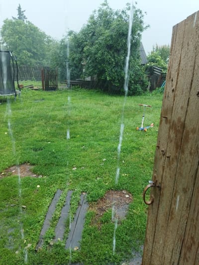 The image depicts a backyard scene during a rain shower. The foreground is dominated by a weathered wooden door on the right, with a rustic metal handle. In the background, a lush green lawn is visible, dotted with patches of darker earth. A small, colorful scooter with orange wheels stands on the grass. Further back, trees and foliage create a natural backdrop, and a section of a trampoline with a black net is partially visible on the left. The sky appears overcast, consistent with rainy weather. The image does not contain any discernible individuals or specific identifiable landmarks that would pinpoint its exact location within Sosnivka, Ukraine, beyond it being a residential outdoor space.