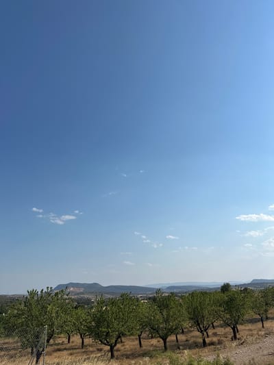 The image shows a rural landscape in Alpuente, Spain, under a clear blue sky with scattered white clouds. In the foreground, a row of mature trees, likely almond trees, stand on dry, golden-brown grass. A chain-link fence is visible to the left of the trees. Beyond the trees, the terrain slopes gently downwards, revealing more trees and vegetation in the middle ground. In the distance, a series of rolling hills and mountains form the horizon, with a large, scarred mountainside, possibly a quarry, dominating the central background. The overall impression is one of a dry, sun-drenched countryside.
