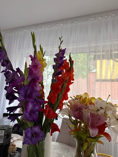 The image shows a close-up view of two bouquets of flowers placed on a table indoors, with sheer white curtains and a window visible in the background. The bouquet on the left consists of gladiolus flowers in various shades of purple and red. The bouquet on the right is composed of lilies in pink, yellow, and white hues. A dark bottle of soda and a slice of cake on a plate are also visible on the table to the left of the gladiolus bouquet. The environment appears to be a domestic setting, likely a dining room or living room, with furniture partially visible. There are no people present in the image. The lighting suggests it is daytime. There is no information about the location in Weeze, Germany.
