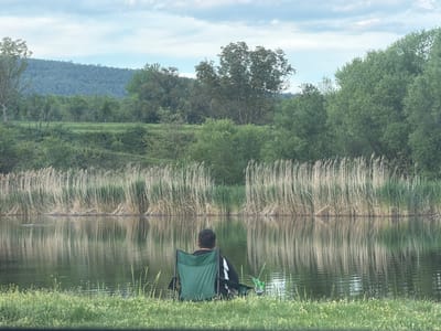 A man is sitting in a green folding chair on the grassy bank of a pond or lake in Borima, Bulgaria. He is facing away from the camera and appears to be fishing. Tall reeds line the edge of the water behind him. The water surface reflects the reeds and surrounding trees. In the background, a forested landscape rises towards a cloudy sky.