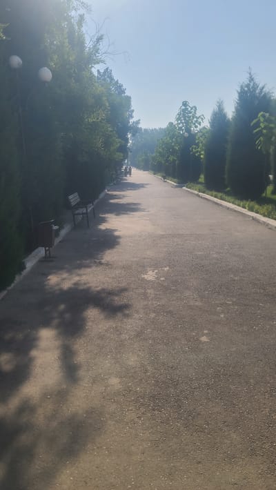 The image depicts a paved pathway lined with trees and benches, likely in a park or public garden setting within Kyzyltepa, Uzbekistan. The pathway stretches into the distance, with the sky visible above. On the left side of the path, a row of trees forms a dense hedge, with two spherical lamps mounted on poles interspersed among them. Further along, there are several benches. A trash can is visible near the foreground on the left. Shadows from the trees are cast across the pathway. On the right side of the path, there are more trees, including some tall, slender evergreens and some deciduous trees with green foliage. Two individuals are walking away from the camera in the distance on the pathway. The overall scene suggests a tranquil outdoor environment on a bright, possibly sunny day, given the clear sky and the intensity of the sunlight causing lens flare in the upper left corner of the image. The ground surface of the pathway appears to be asphalt or a similar material with a speckled texture.